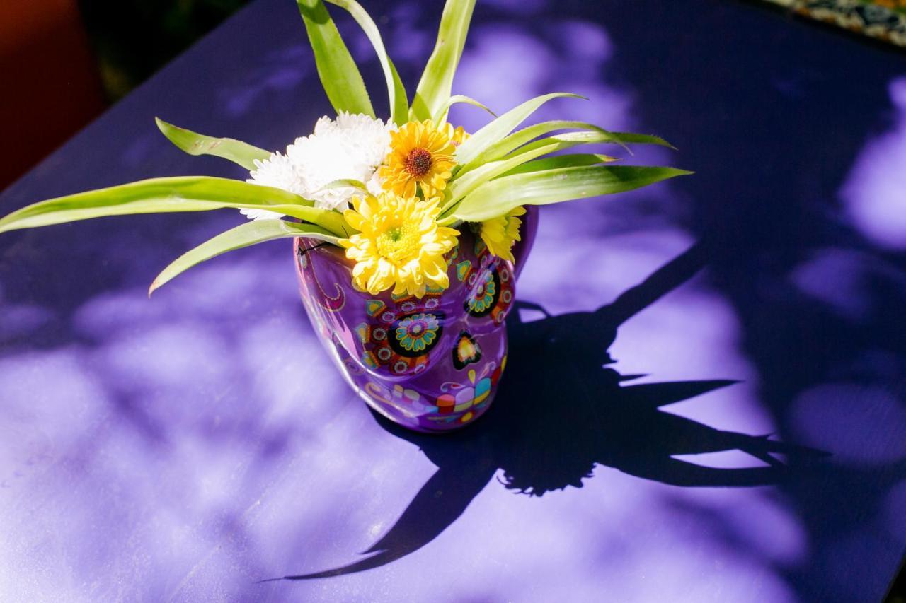 "Vainilla B&B" - Stylish Comfort In ปลายาเดลการ์เมน ภายนอก รูปภาพ